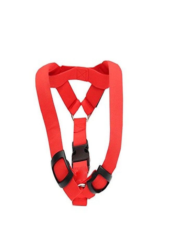 فوتابا ضوء وامض LED للكلاب من فوتابا، 3 أوضاع - أحمر - صغير - Image 1